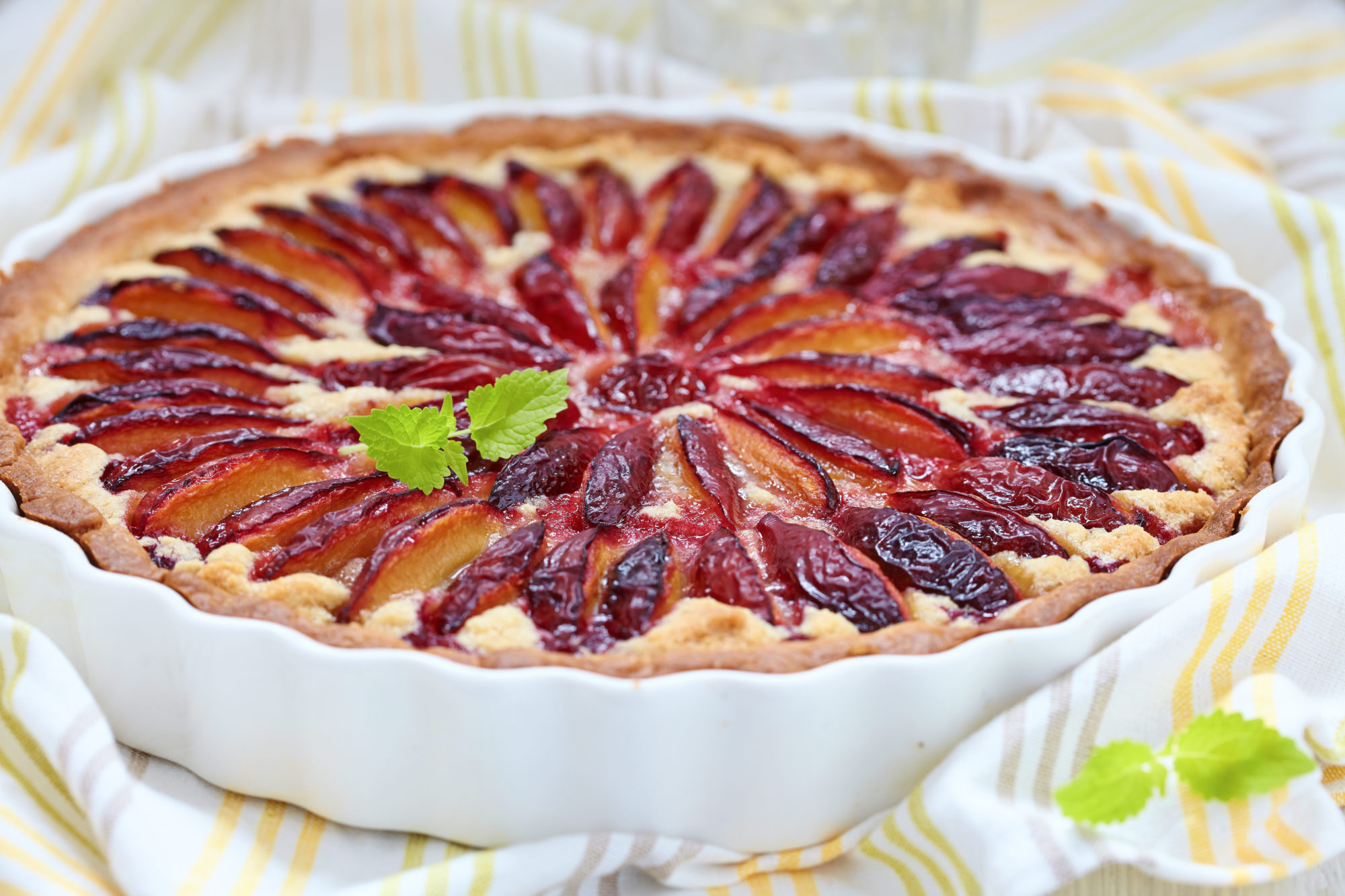 shutterstock_214513363 Plommepai