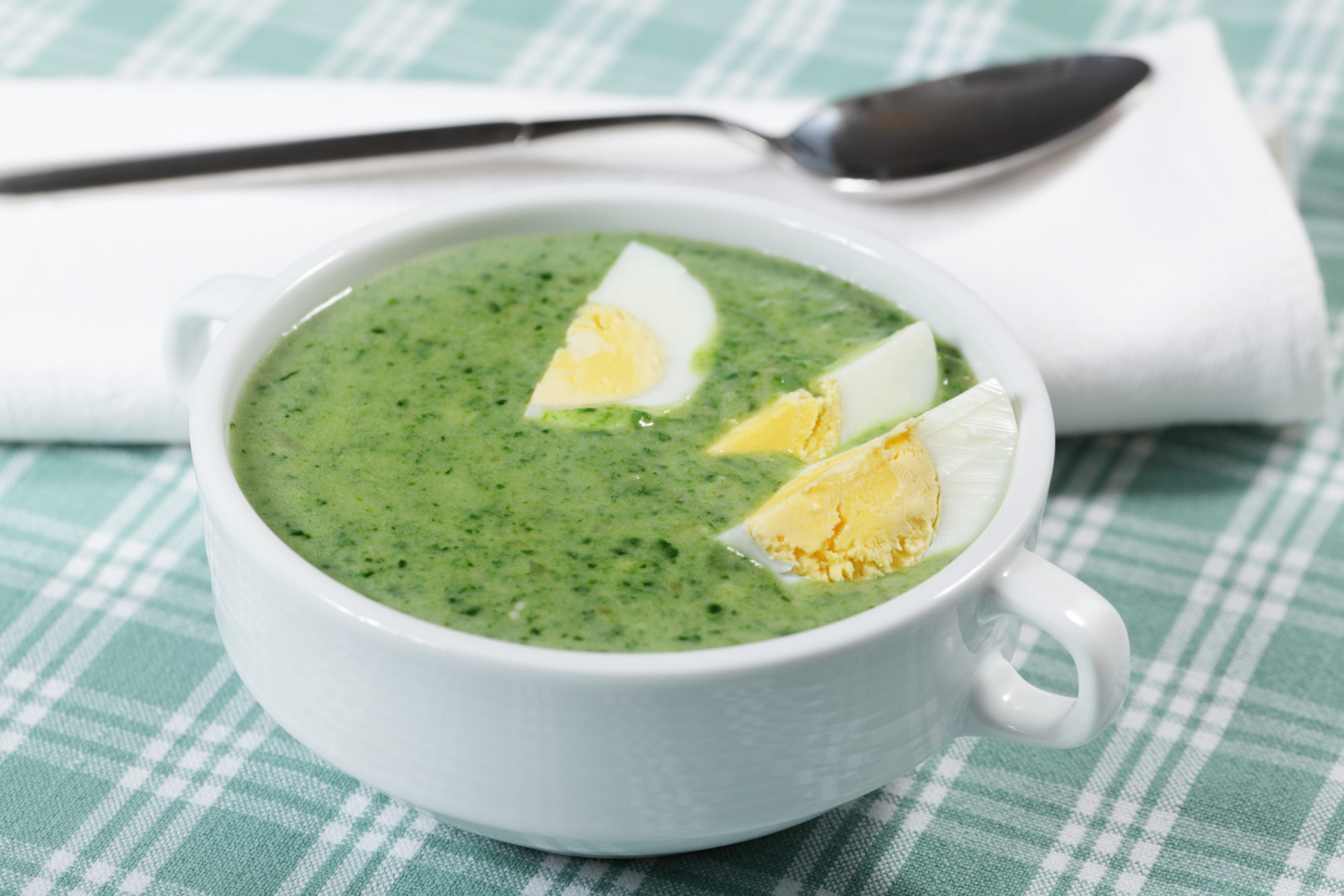 shutterstock_64846915 Grønn suppe med egg