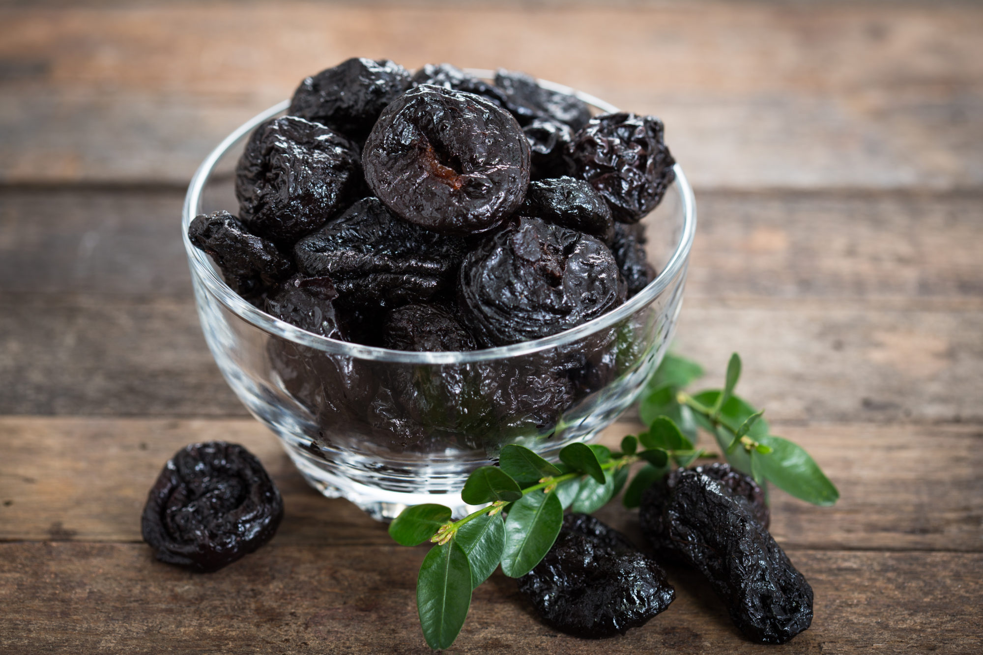 shutterstock_516299053 svisker