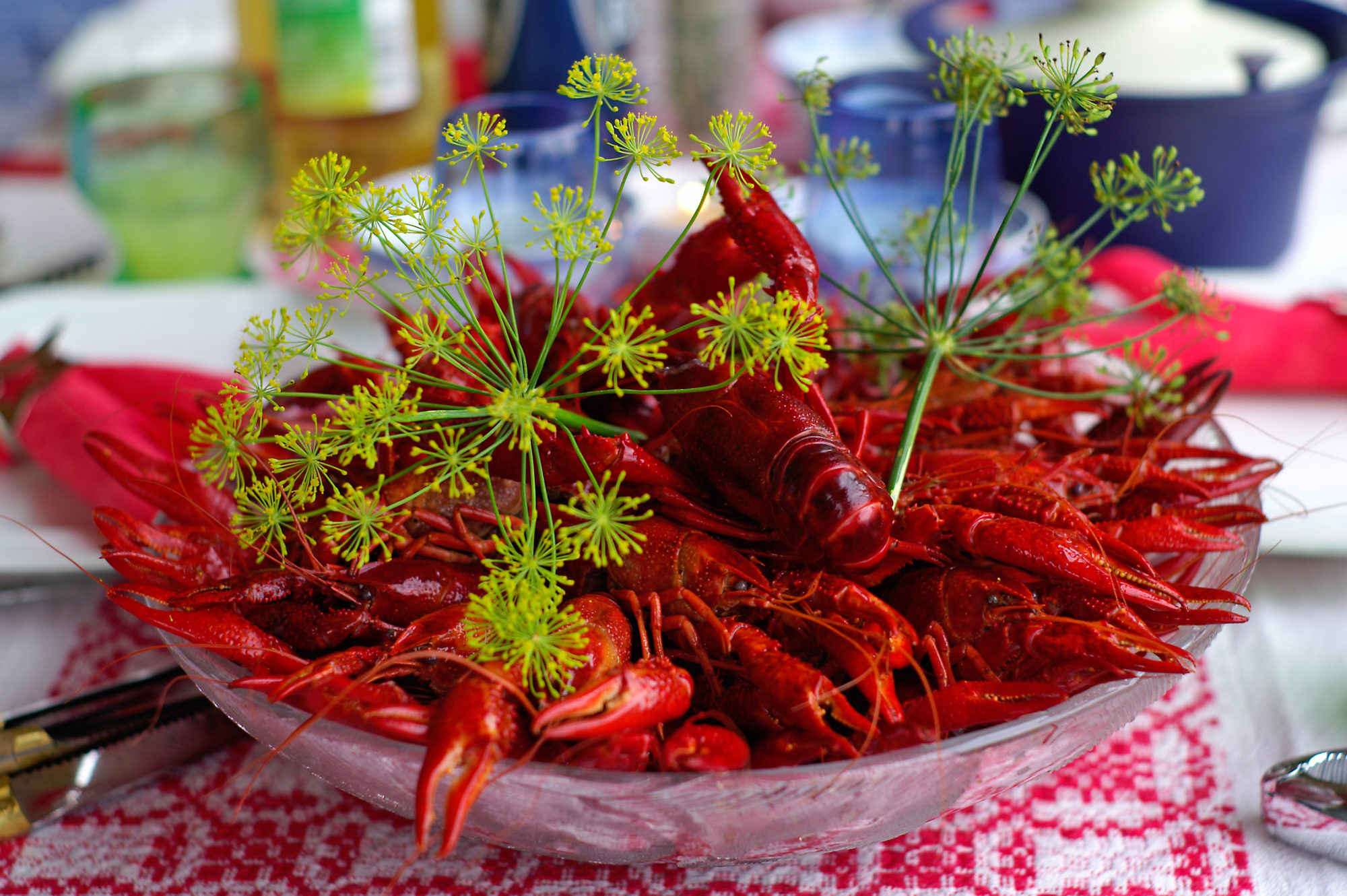 shutterstock_192480746 kreps