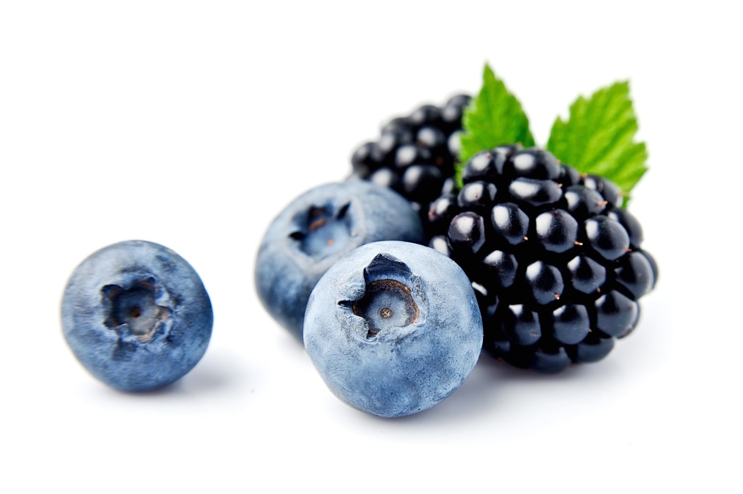 shutterstock_691071298 blåbær skogsbær