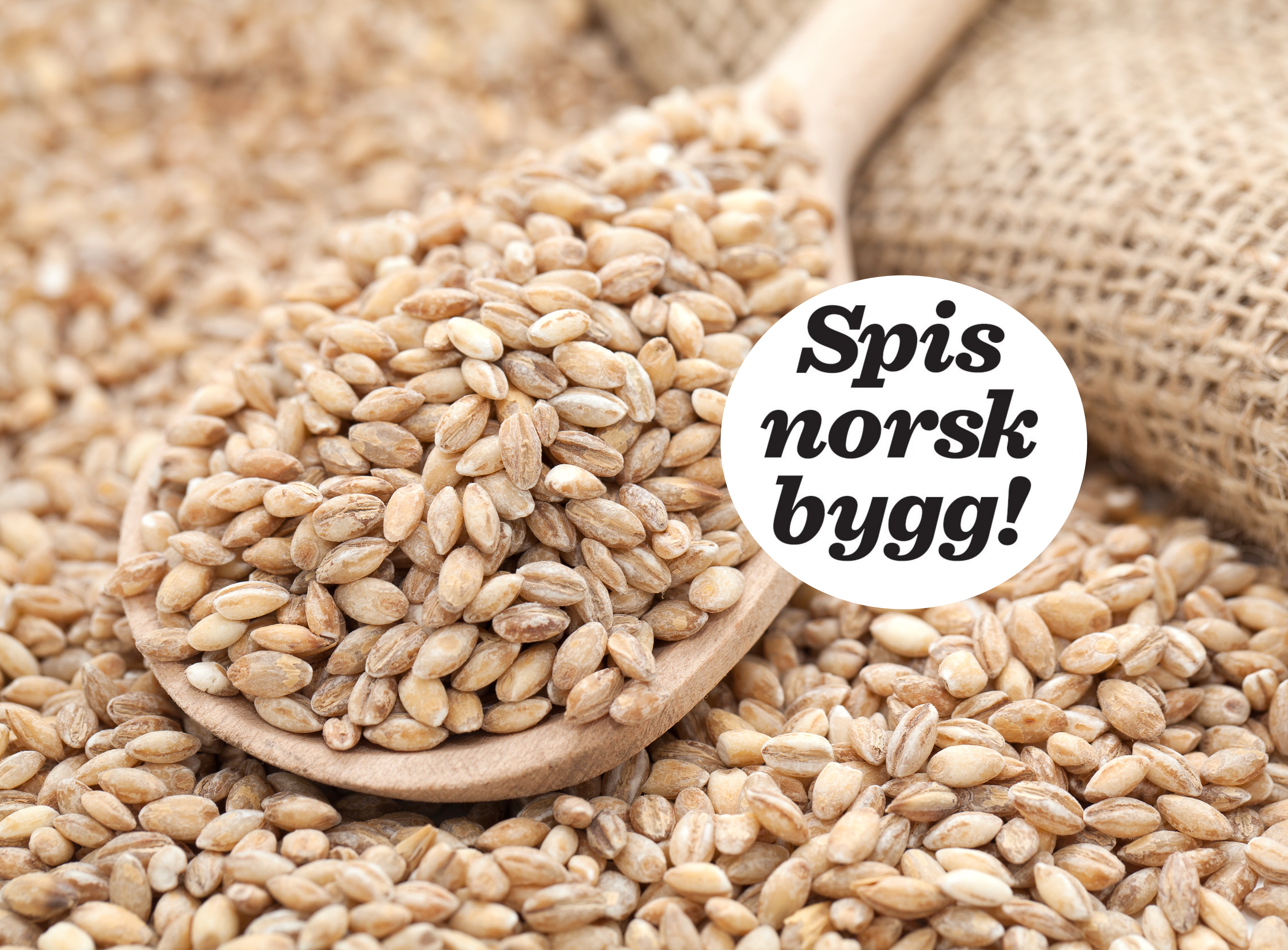 Spis norsk bygg