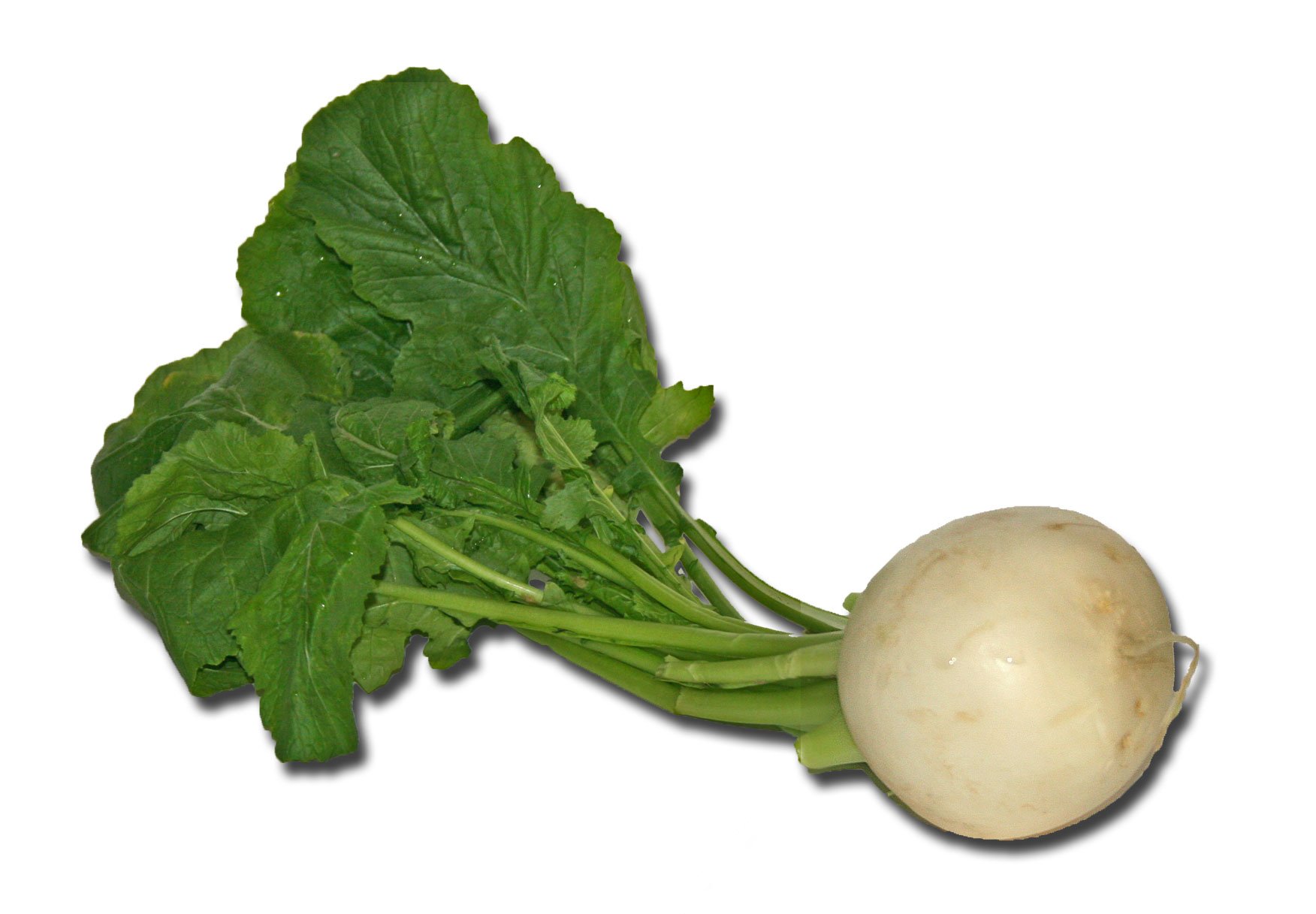 food-produce-vegetable-cook-root-vegetables-1160164-pxhere.com